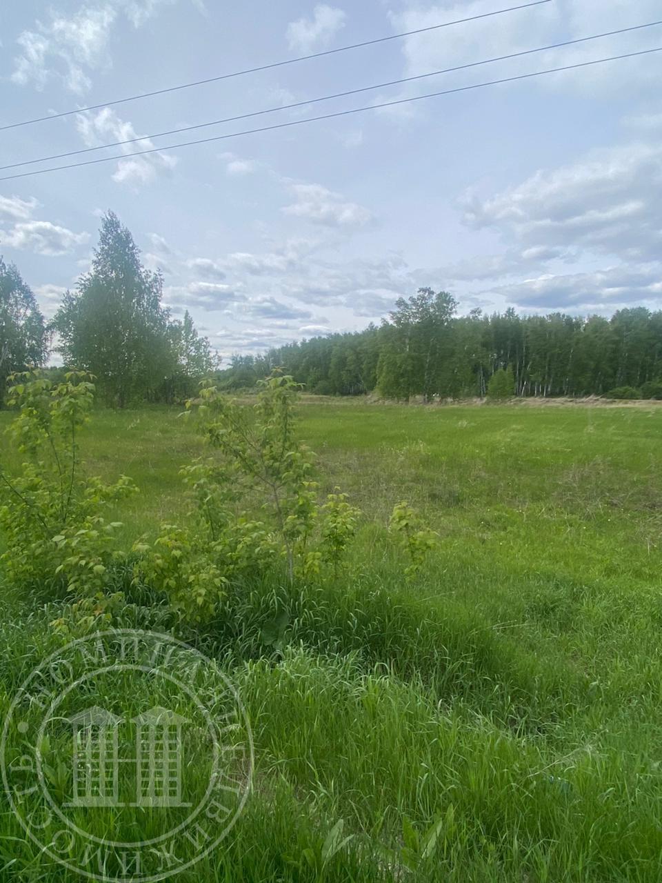 В продаже участок ,ровный ,хороший,рядом 2 озера. Планировали для строительства базы отдыха,изменились планы.  
